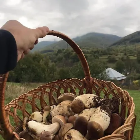 公寓 Darino Rodnikovka